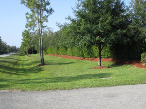commercial mulch landscaping