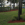 Fort Myers park after red mulch installation